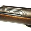 Image 8 : Schmidt Rubin 1899 Swiss Military Sporter Rifle 7.55 x 55 - NO MAGAZINE