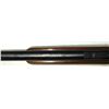 Image 5 : Cooey Model 64 by Winchester 22 lr Semi Auto Rimfire