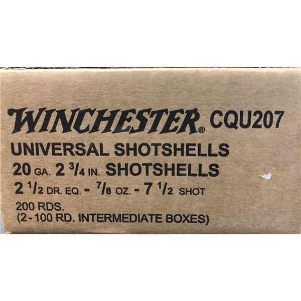20 Gauge CASE - Winchester x 200 Shells