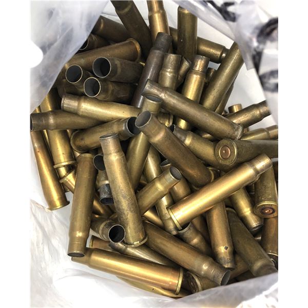 303 British Brass x50 Casings