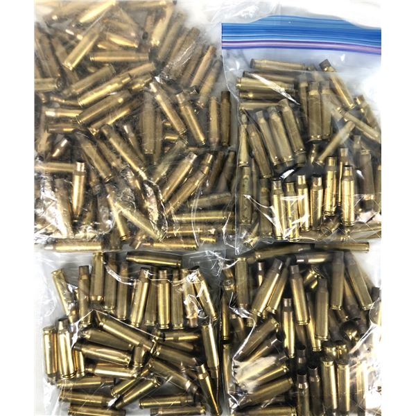 308 WIN Brass Casings x315