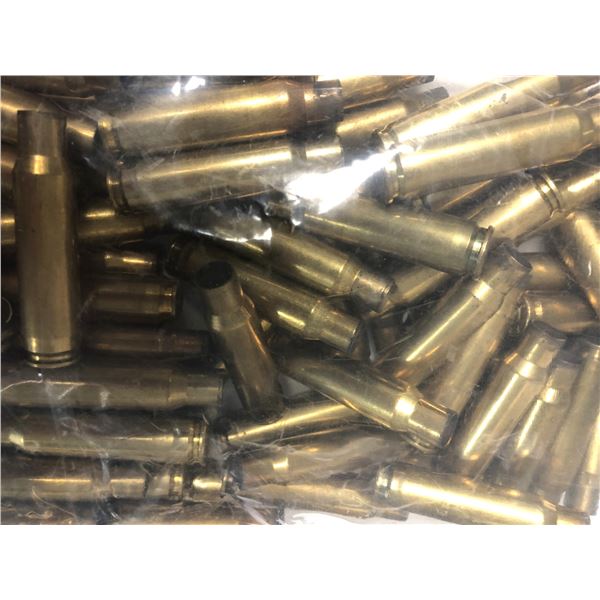 308 WIN Brass Casings x80