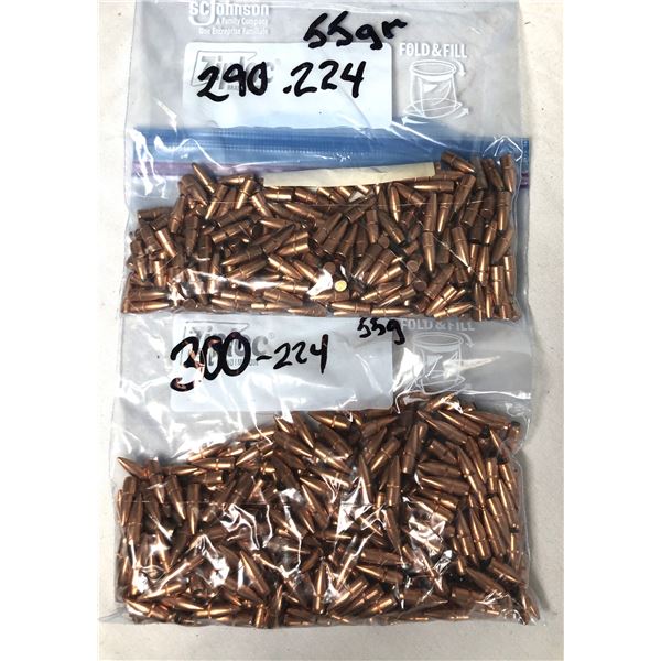 224 CAL Bullets x590 - 55 Grain