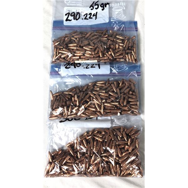 224 CAL Bullets x880 - 55 Grain