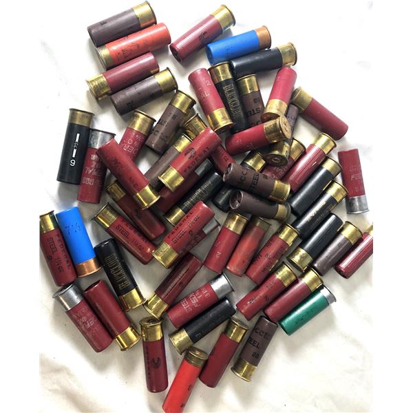 12 Gauge Shell LOT x56