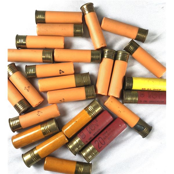 20 Gauge Shell LOT x20