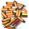 Image 1 : 20 Gauge Shell LOT x20