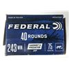 Image 1 : 243 WIN Federal - 40 Rounds 75 Grain NIB