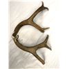 Image 2 : Antlers - Pair