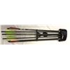 Image 1 : Crossbow Bolts x6 With Quiver