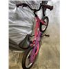 Image 7 : SUPERCYCLE AND GHOST YOUTH BIKES