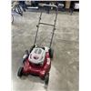Image 2 : WHITE OUTDOOR GAS LAWNMOWER