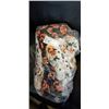 Image 1 : SEVEN PAIRS OF NEW KIDS FLEECE PAJAMA PANTS SIZE 10/12