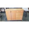 Image 1 : TEAK VENEER 2 DOOR STORAGE CABINET