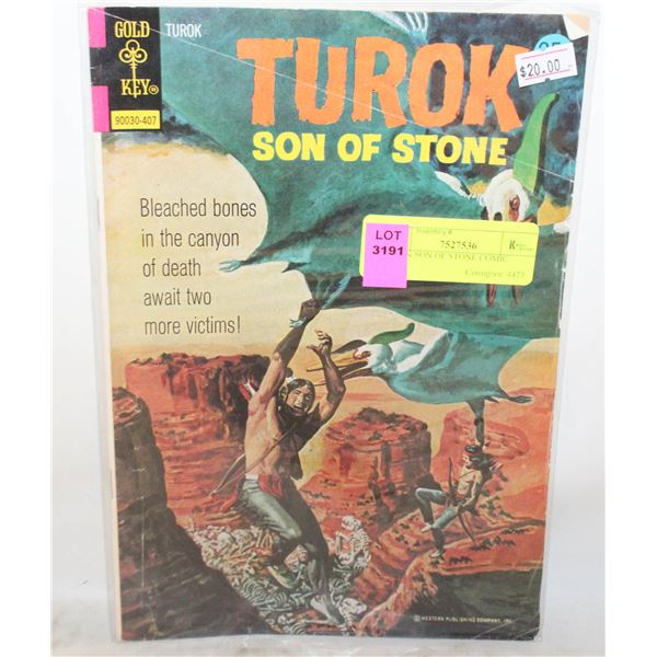 TUROK SON OF STONE COMIC