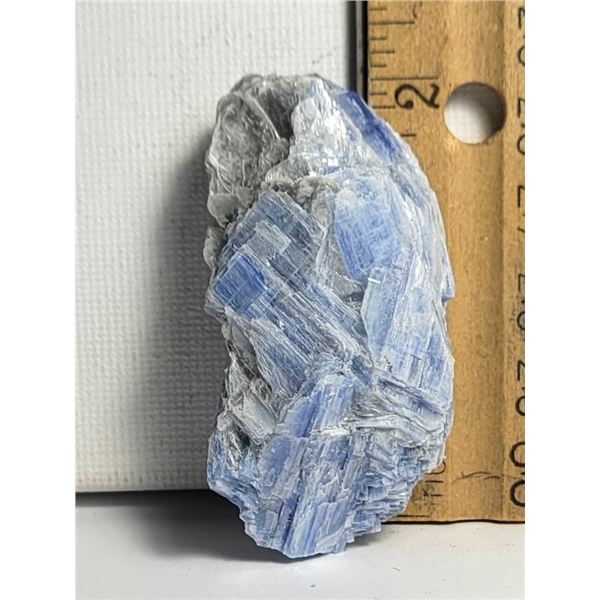 12)  NATURAL 43.7 GRAM BLUE KYANITE