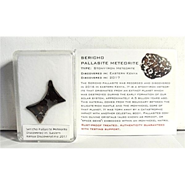 6)  SERCHO PALLABITE METEORITE