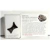 Image 1 : 6)  SERCHO PALLABITE METEORITE