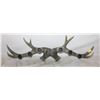 Image 1 : ANTLER CANDLE HOLDER