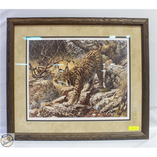 FRAMED PRINT - GHOSTLY QUIET - SPANISH LYNX