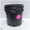 Image 1 : NEW 4 @ 6 GALLON POTS WITH HANDLES