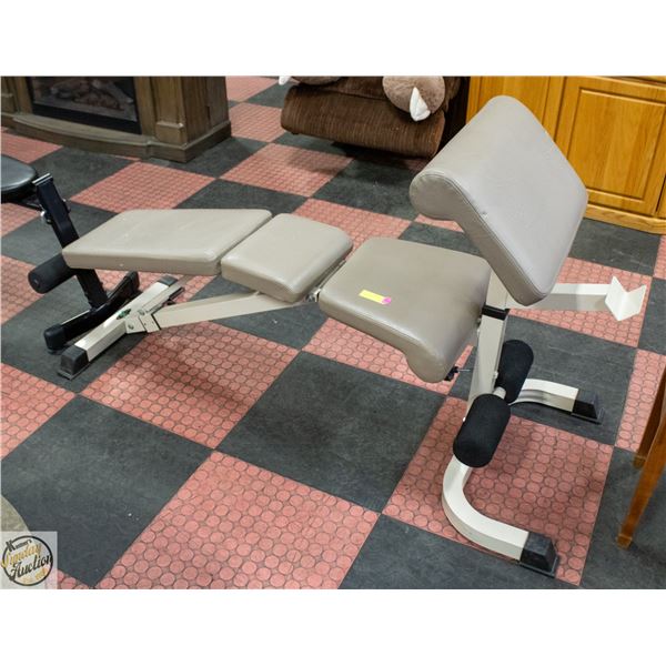 LINEX X WEIGHT LIFTING BENCH W/ARM CURL