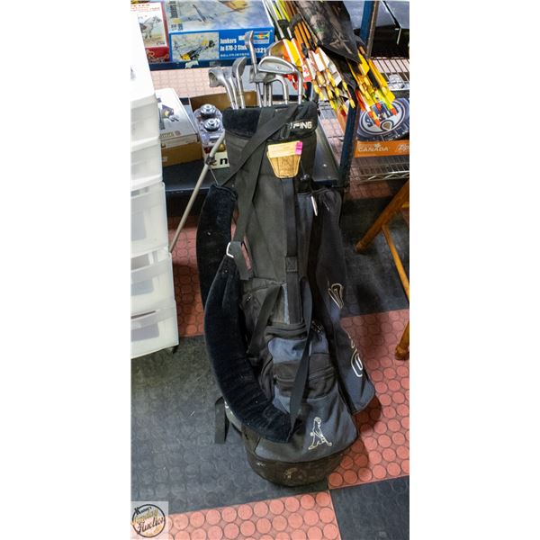 PING GOLF CLUB BAG WITH PING EYE2