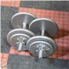 Image 1 : TWO 30LB HAND WEIGHTS