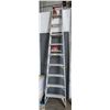 Image 1 : 10FT FOLDING LADDER