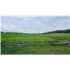 Image 1 : Rustic Metal Fencing and Panels in Varied Styles