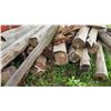 Image 4 : Weathered Wooden Fence Posts