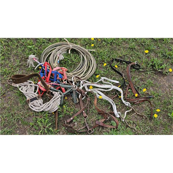Horse Tack and Equipment Collection