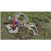 Image 1 : Horse Tack and Equipment Collection