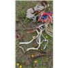 Image 3 : Horse Tack and Equipment Collection