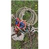 Image 4 : Horse Tack and Equipment Collection