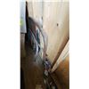 Image 11 : Mystery Shed Items from Storage Shed, Including Tools and Decor