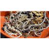 Image 1 : Costume Jewelry, Vintage Accessories, and Decorative Items