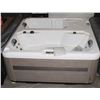 Image 1 : TWO SEATER HOT TUB WITH COLD PLUNGE*BAILIFF SEIZURE*