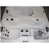 Image 2 : TWO SEATER HOT TUB WITH COLD PLUNGE*BAILIFF SEIZURE*