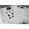 Image 4 : TWO SEATER HOT TUB WITH COLD PLUNGE*BAILIFF SEIZURE*