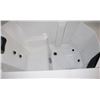 Image 5 : TWO SEATER HOT TUB WITH COLD PLUNGE*BAILIFF SEIZURE*