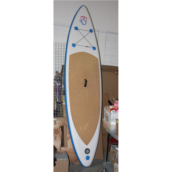 INFLATABLE PADDLE BOARD*BAILIFF SEIZURE*