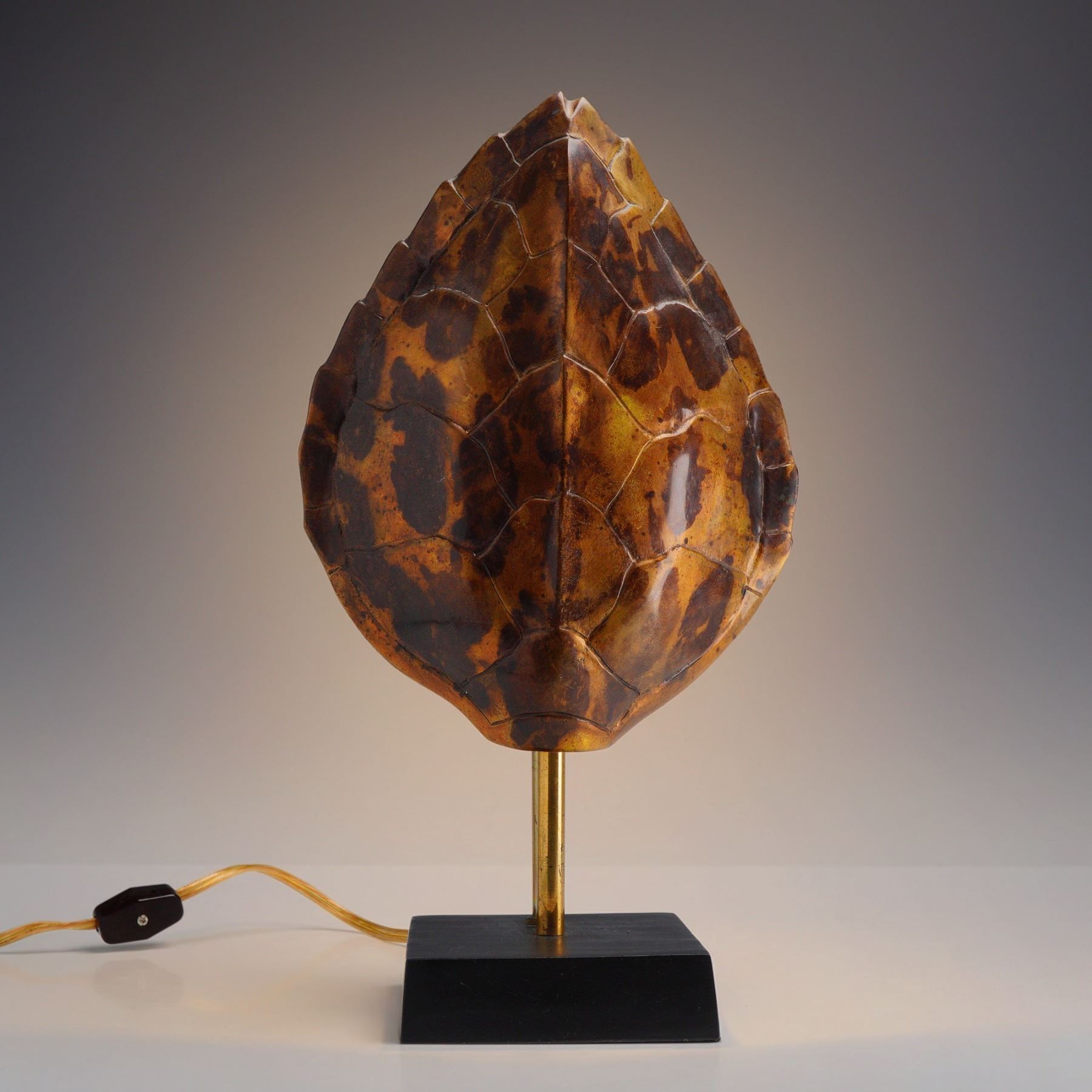 Vintage Chapman Brass Turtle Shell Table Lamp