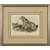 Image 1 : Audubon Lithograph, "Esquimaux Dog", Printed & Colored by J.T. Brown