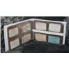 Image 10 : Collection of 98 Early Railroad Passes, Dating Back as Far as 1892.