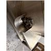 Image 14 : FBM RUMBO BEAN TO BAR CHOCOLATE GRINDER