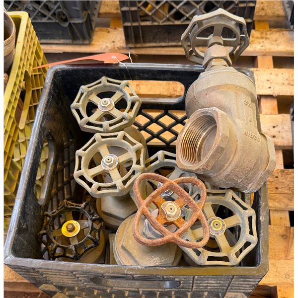 Qty 8 Gate Valves 2-1/2"
