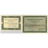 Image 1 : DE. United Auto Stores Inc., 1920 , I/U Stock Pair.