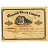 Image 1 : PA. Mercantile Library Co. 1876 I/U Stock Certificate Signed by Morris Perot