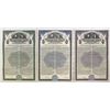 Image 1 : PA. Pittsburgh Steel Co., 1940 to 1948, Specimen Bond Trio.